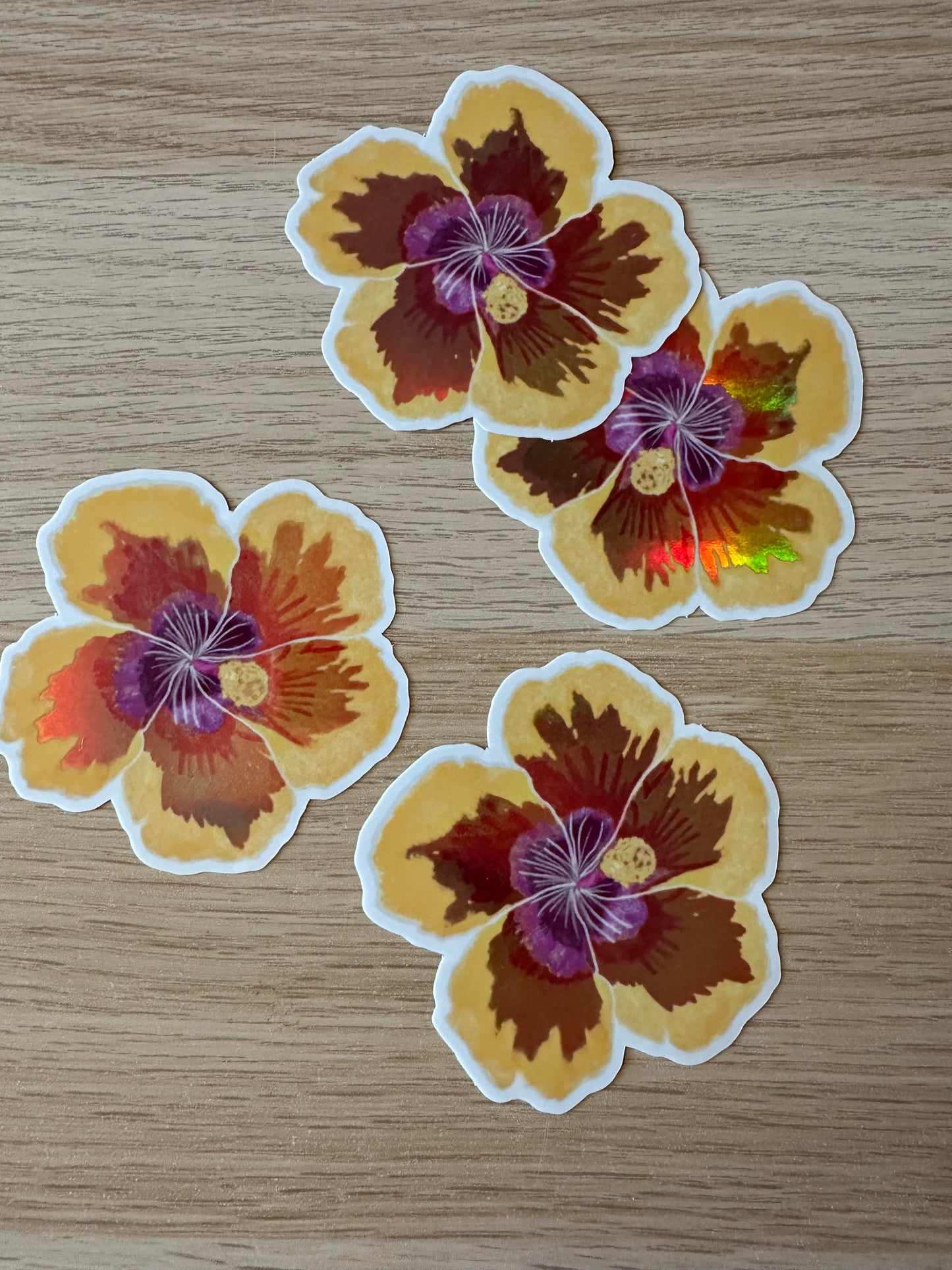 Hibiscus Pepili