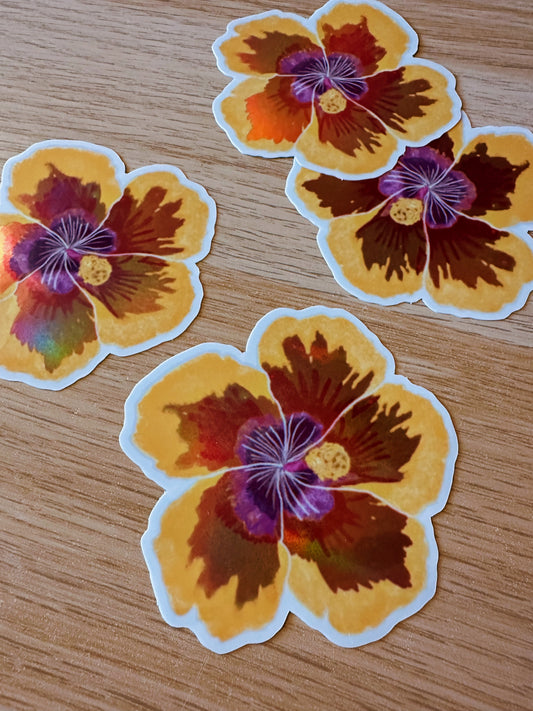 Hibiscus Pepili
